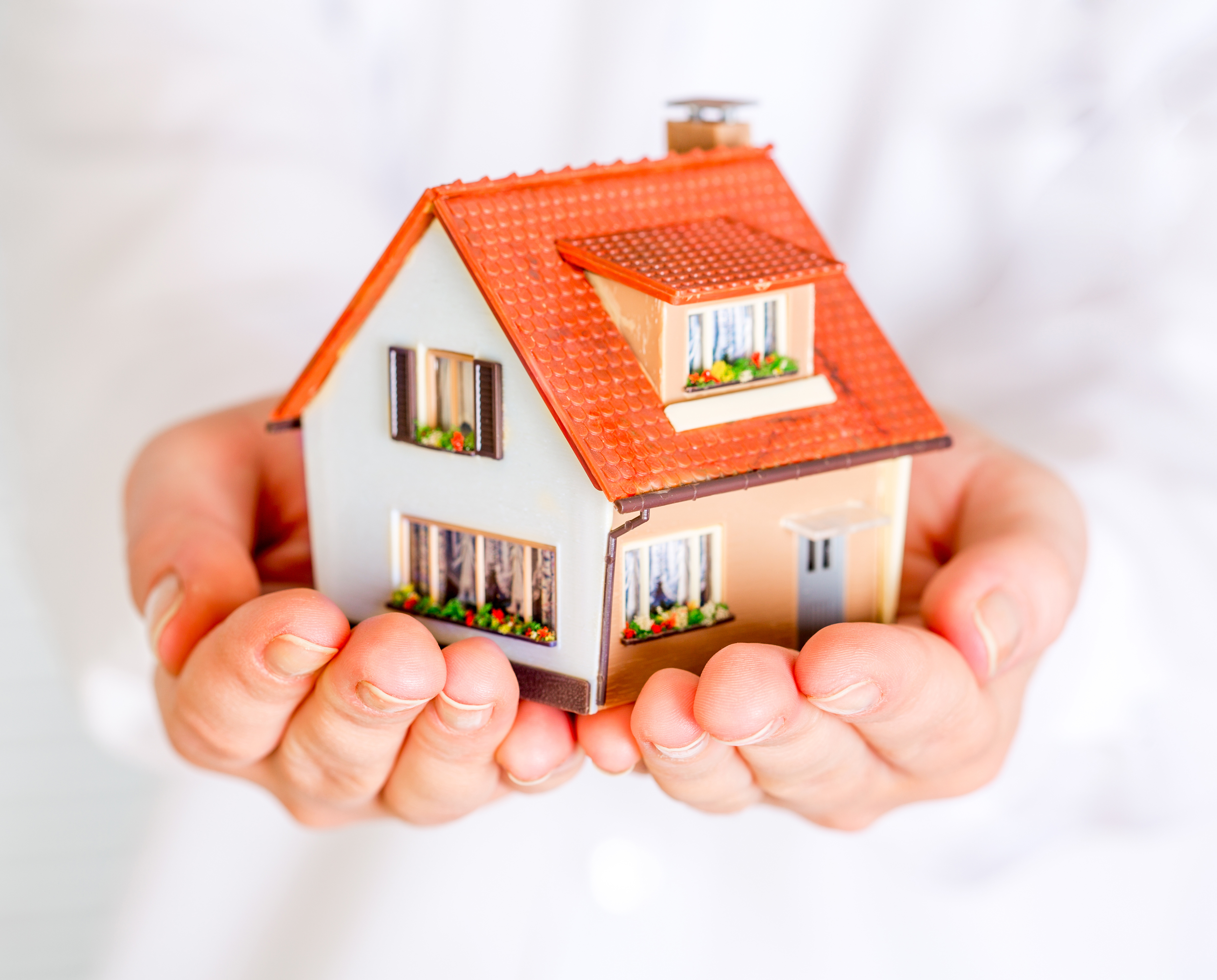 House In Hand Concept